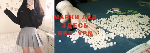 крисы Баксан