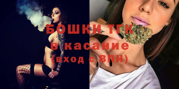 крисы Баксан