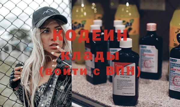 крисы Баксан