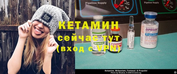 крисы Баксан