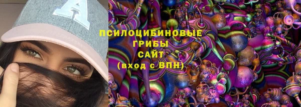 крисы Баксан
