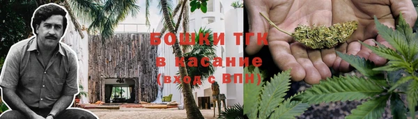 крисы Баксан
