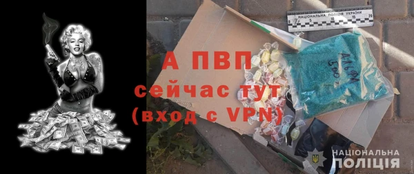 крисы Баксан