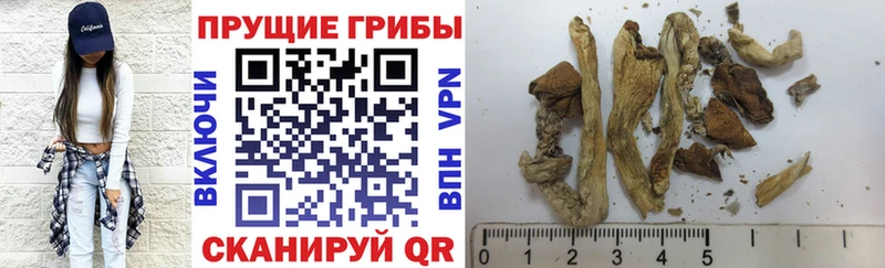Галлюциногенные грибы прущие грибы  где купить наркоту  Глазов 